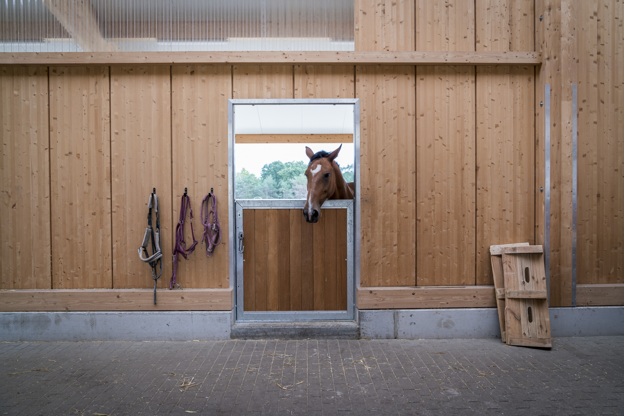 Inclusive Equestrian Sport and Riding Therapy Centre
